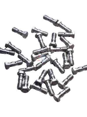 Baut Banjo Bolt M10x1.25 Original HEL 2 lubang include 3 ring tembaga